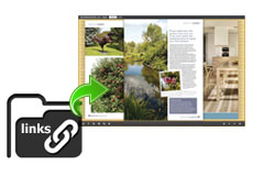 Embed hyperlink on DjVu Flash Embed hyperlink on DjVu Flash