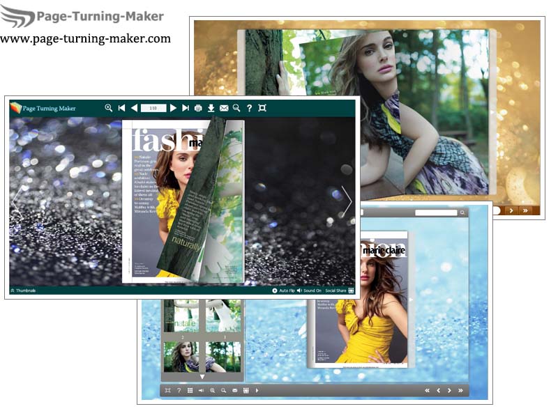 Gloss Theme for Flash Page Turning Book screenshot